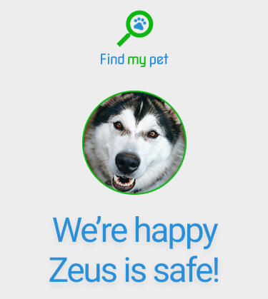 Find My Pet